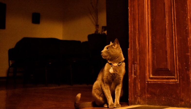 1649694032731-01-1024x683