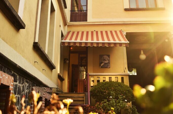 1650305270576-01-683x1024